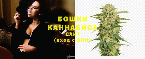 мет Ельня