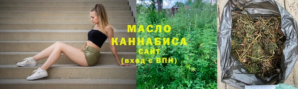 мет Ельня